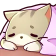 SleepyCat