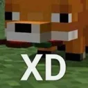 FOXD FOXD