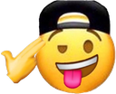 cc_sweg Discord emoji