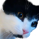 y_Casper_what Discord emoji