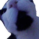 y_Casper_facebump Discord emoji
