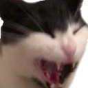 y_casper_ree Discord emoji