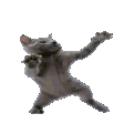 catdab