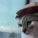 sadkitty sadkitty