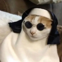 nuncat
