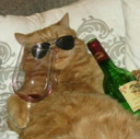 drunkcat