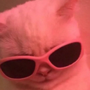 shadesoncat