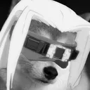 Zatodog Zatodog