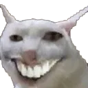 WeshSpin WeshSpin