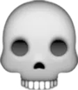 skull8