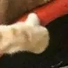 thumbsup
