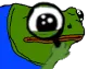 froggerspy