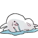 bundespair2