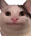 catMmm catMmm