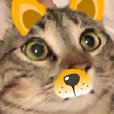 smartcat Discord emoji
