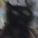 TS_CatZoom Discord Emoji