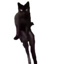 TS_CatSit Discord Emoji