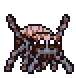 spiderDance
