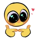 shy shy