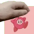 petcherrykirby petcherrykirby