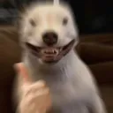 ThumbdogBlur