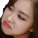 rosieimpressed Discord emoji