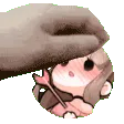 petHai