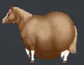fathorse