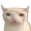 Bruhcat bruhcat Discord Emoji