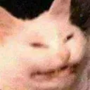 cat_emm Discord Emoji