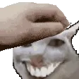 patwesh