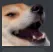 haha Discord Emoji