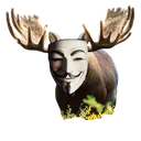 Anonymoose Anonymoose