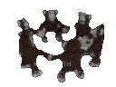 Monkeys_Cassi Discord emoji