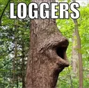 LOGGERS