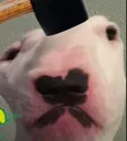 walterbonk