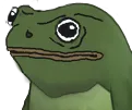 veryfroggerworry2