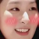 seulgiblush