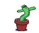 cactdance Discord emoji