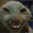 catsmile