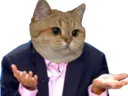 cat_shrug