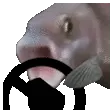 fishSTEER