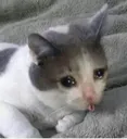 sad