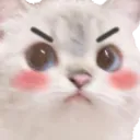 MadStarecat