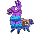 llama
