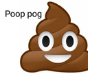poop_pog