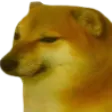 CheemsFace