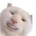 cat_smile