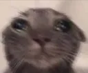 ok_cry