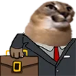 floppaStonks